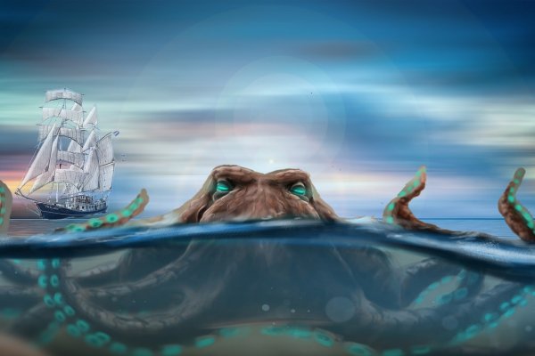 Не пришли деньги на кракен