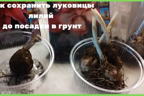 Кракен москва наркота