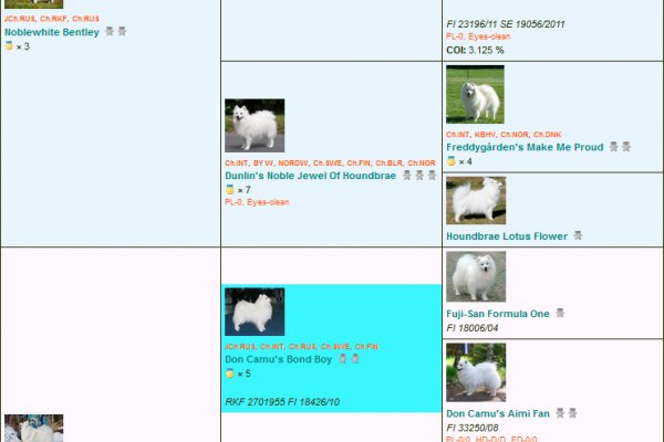 Как войти в кракен