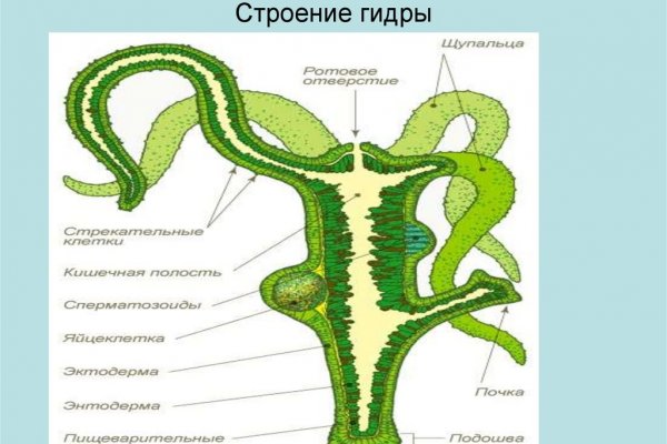 Кракен адрес тор